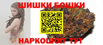 СК Бийск