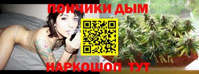 СК Бийск
