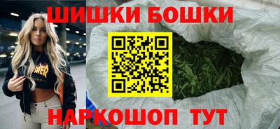 СК Бийск