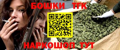 СК Бийск