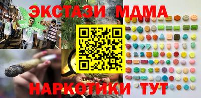 СК Бийск