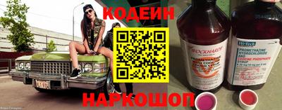СК Бийск