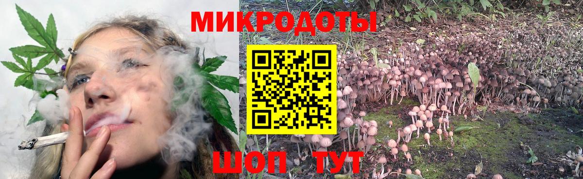 Галлюциногенные грибы MAGIC MUSHROOMS  Галлюциногенные грибы MAGIC MUSHROOMS  Кольчугино  Вход с VPN 