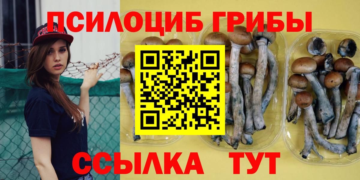 Мефедрон кристаллы  Вход с VPN  ГАШ  Alpha PVP СК кристаллы  МЕТАМФЕТАМИН  Конопля  Кольчугино  Где купить 